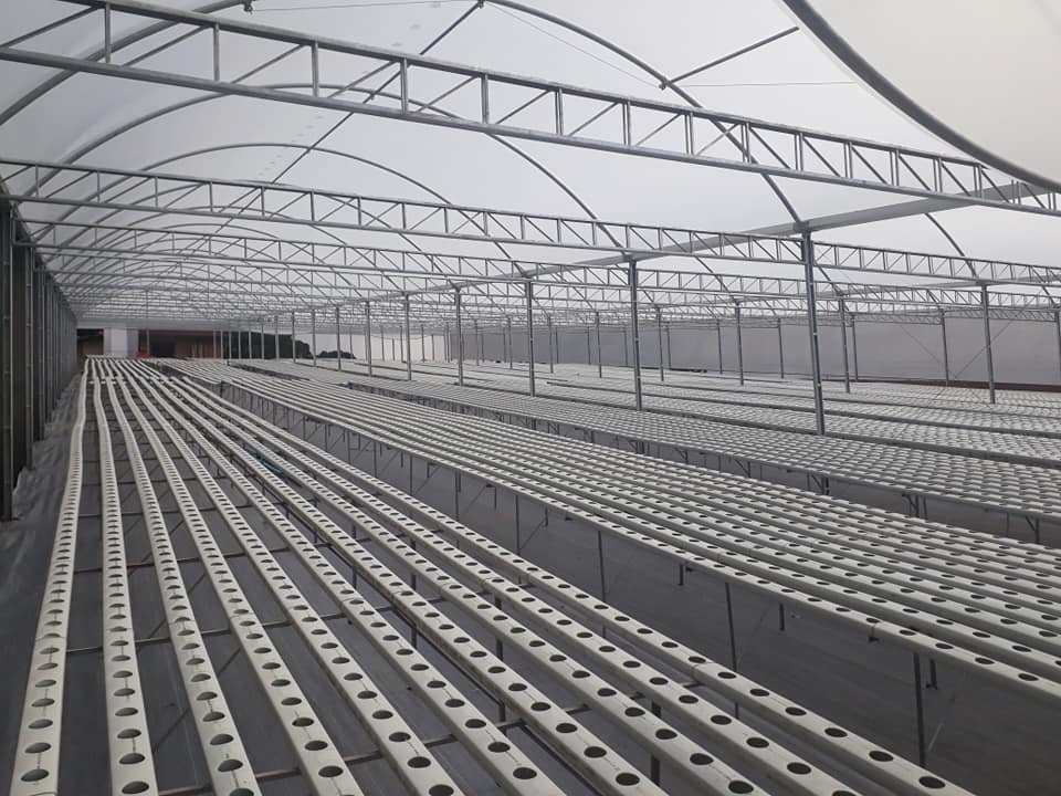 Resistência à alta temperatura