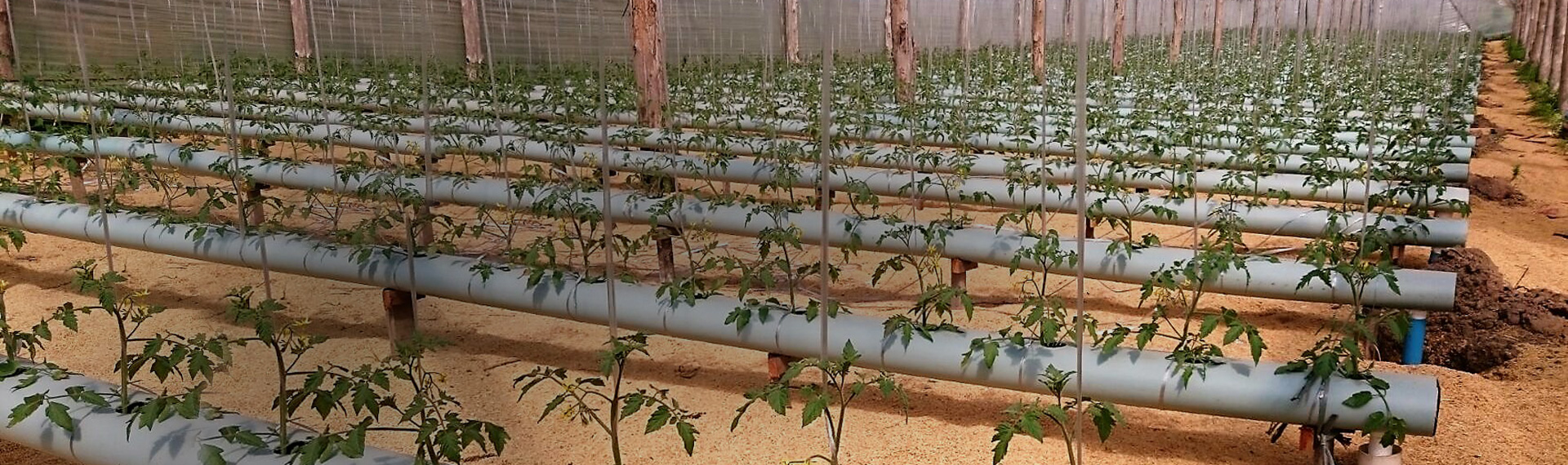 Foco na melhoria contínua dos produtos