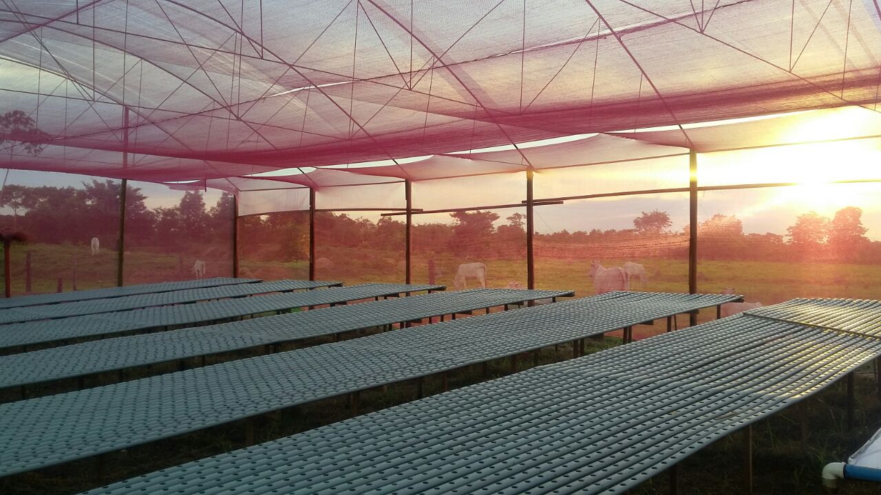 Confiança e durabilidade em perfis hidropônicos